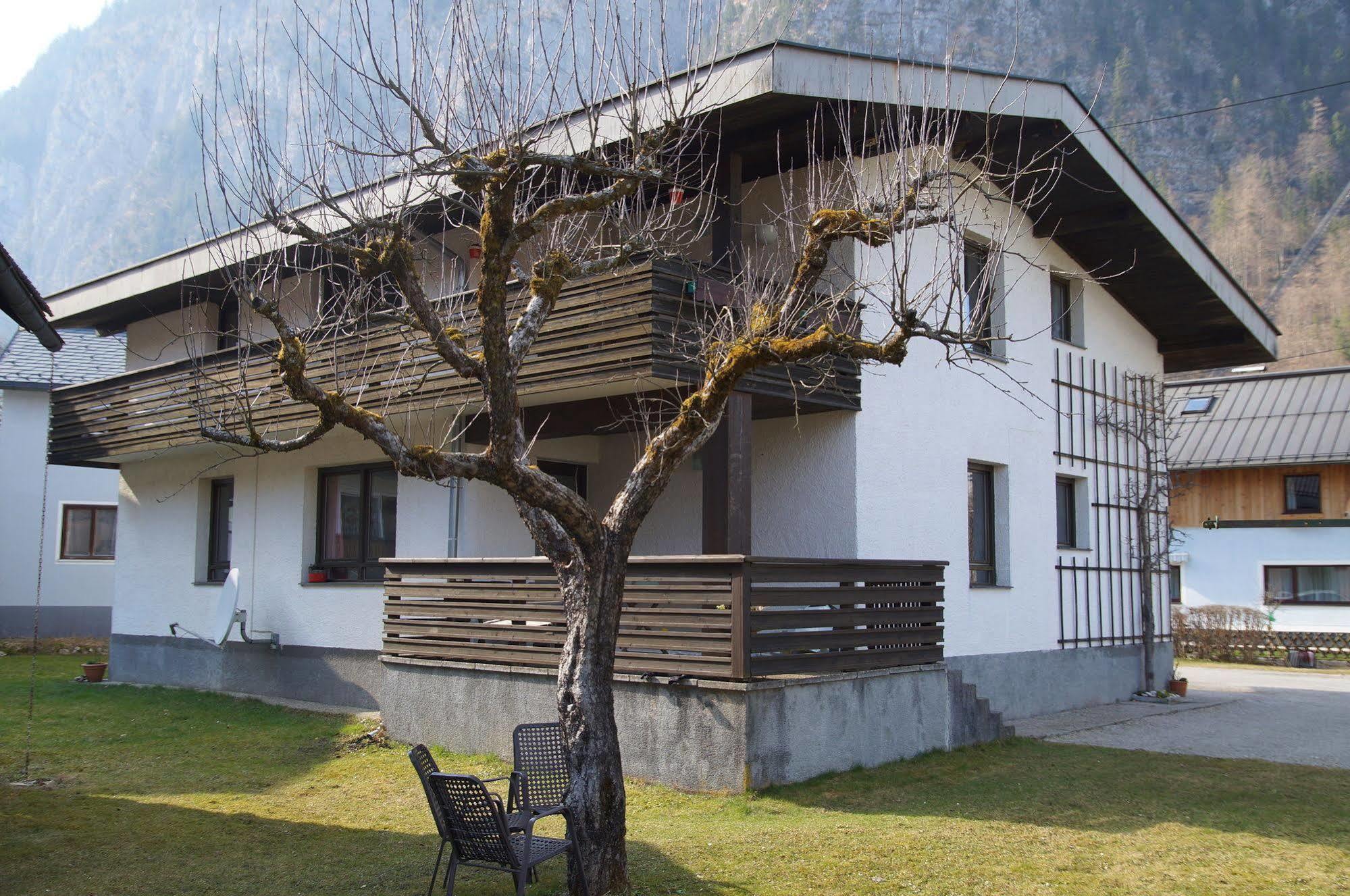 W & S Executive Apartments - Hallstatt I Exterior foto